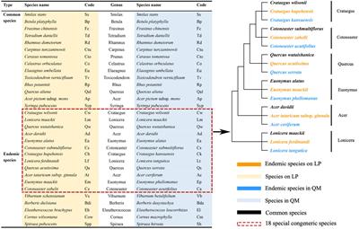 Effects of Water Availability on the Relationships Between Hydraulic and Economic Traits in the Quercus wutaishanica Forests